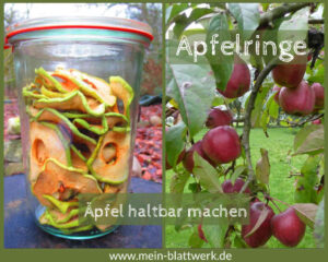 Read more about the article Apfelringe trocknen – Äpfel haltbar machen