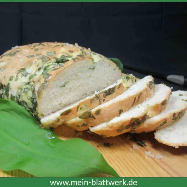 Bärlauch-Rezepte: Bärlauchbrot-Kräuterbrot - mein-blattwerk