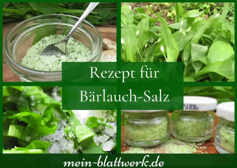 Bärlauchsalz herstellen Bärlauch haltbar machen mein