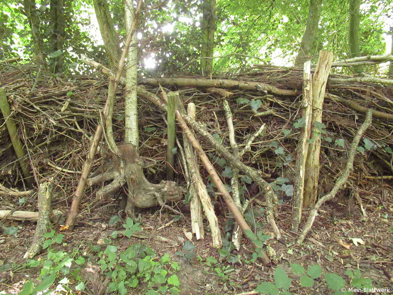 Totholz im Garten Alles andere als „tot“ meinblattwerk