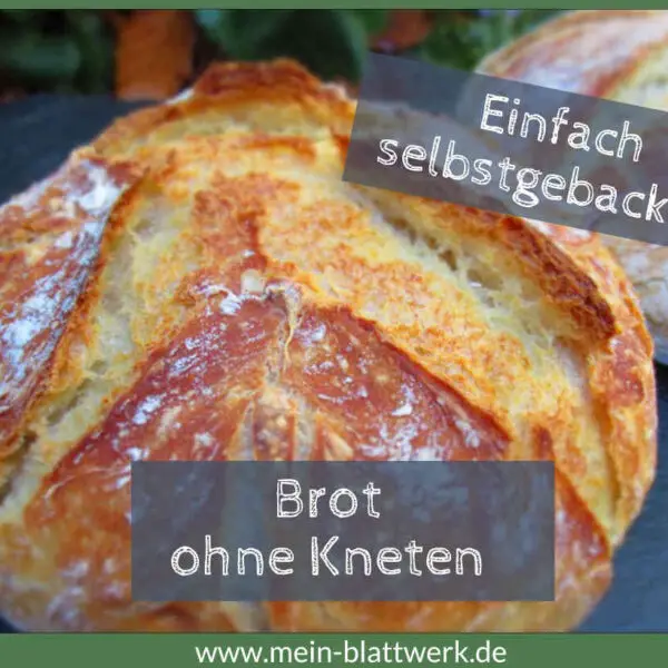 Brot selber backen – einfaches Brot ohne Kneten - mein-blattwerk