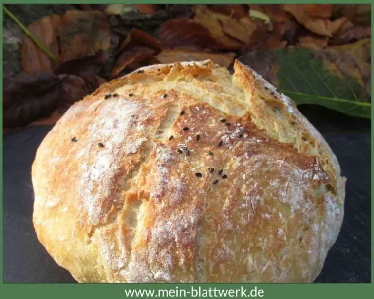 Brot selber backen – einfaches Brot ohne Kneten - mein-blattwerk