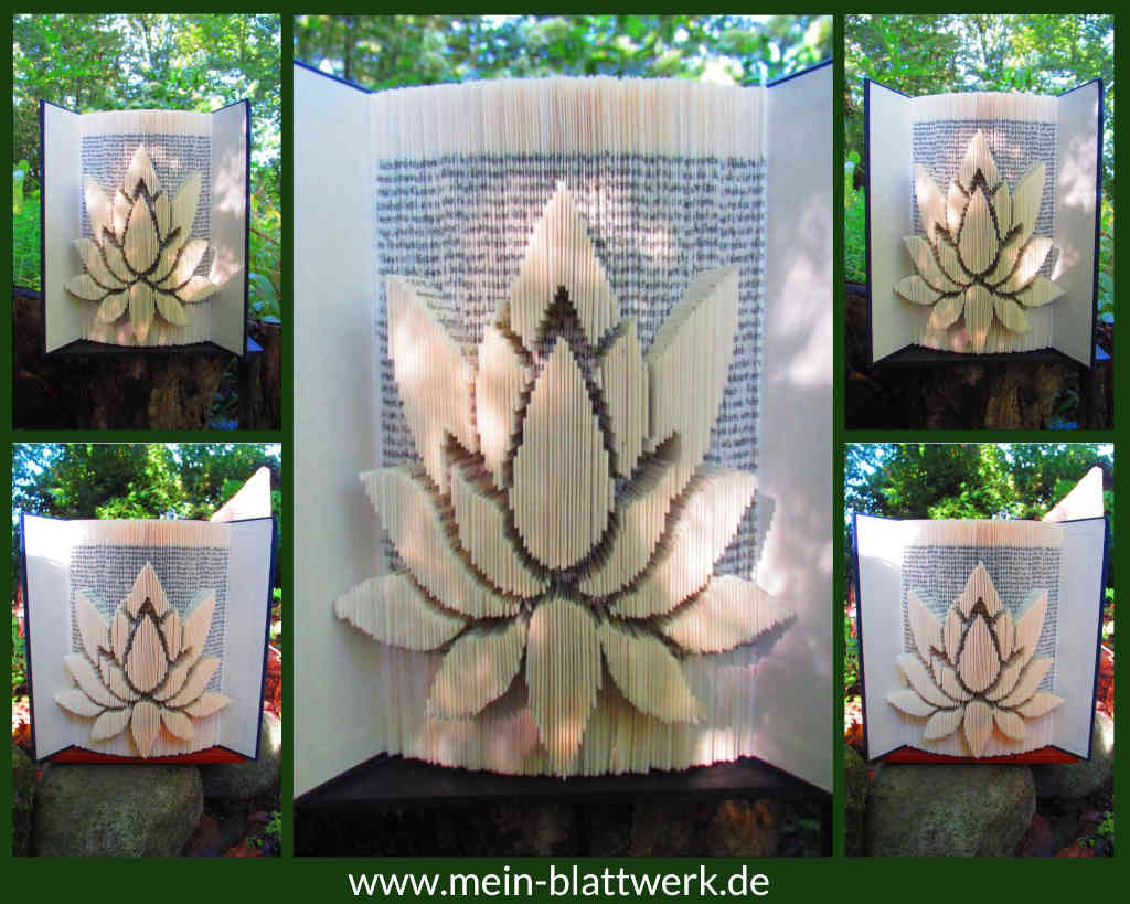 Eine Lotusblüte in ein altes Buch gefaltet.