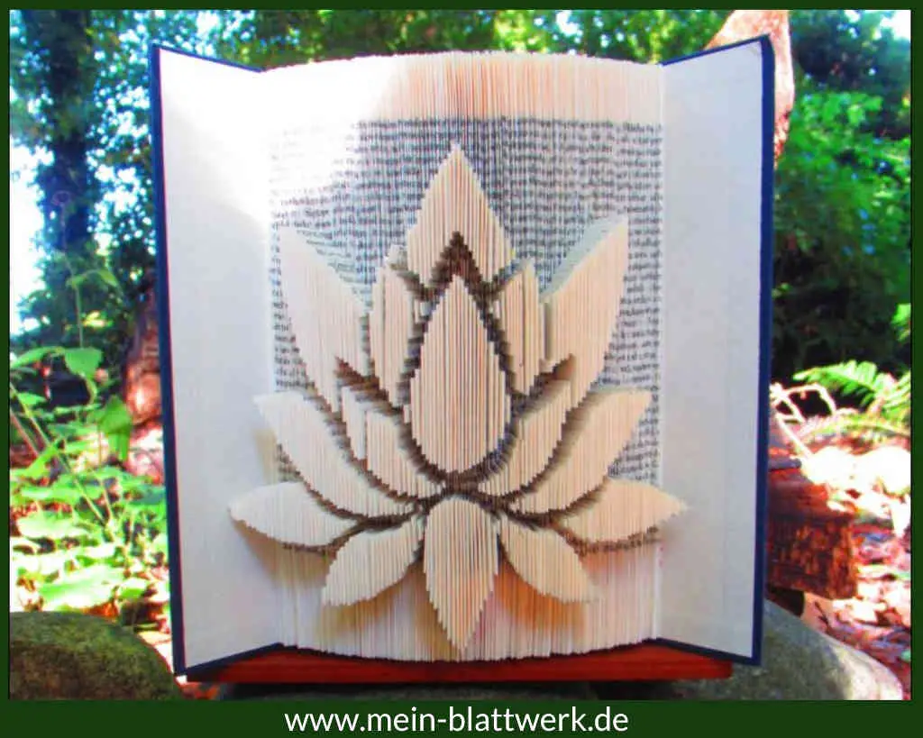 Lotusblüte in einem Buch. Kostenlose Anleitung und Vorlage