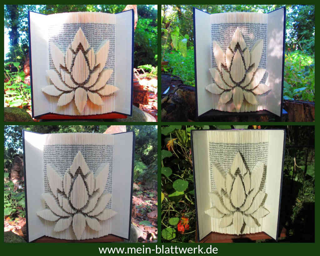 Lotusblüte im Buch Buchfaltkunst für Anfänger