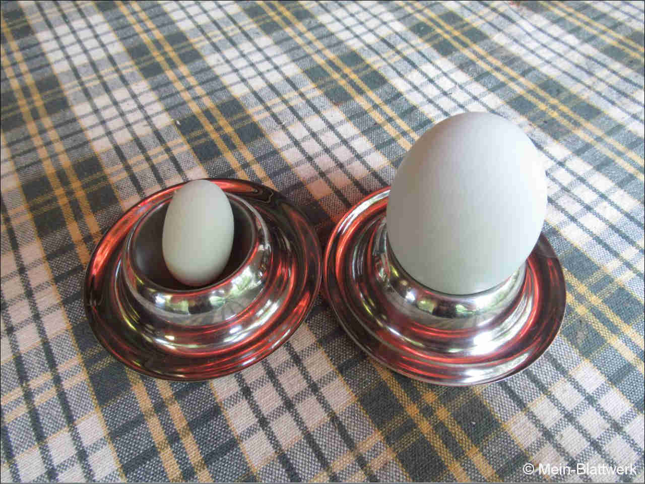 Ach, du dickes Ei! meinblattwerk