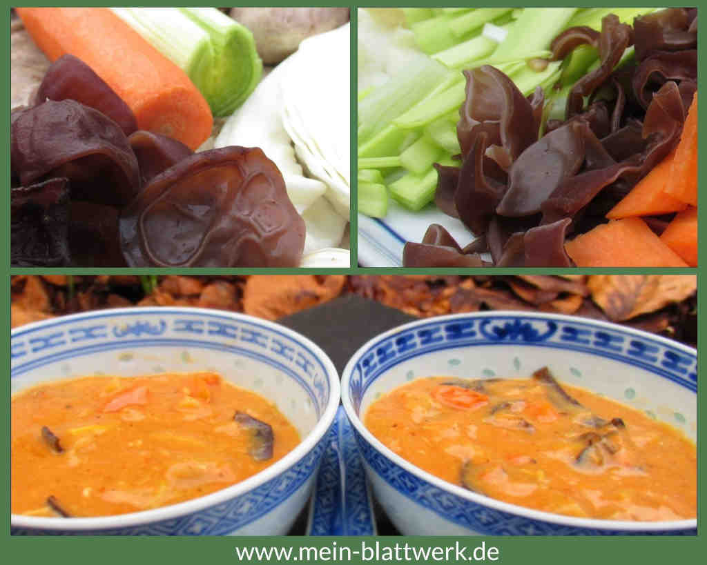 Pekingsuppe, süss-scharfe Suppe mit Pilzen