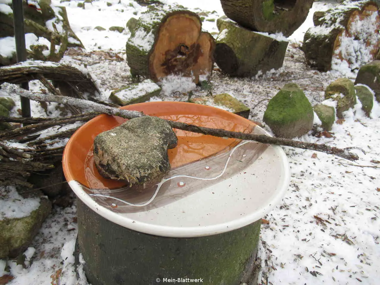 Eisfreie Vogeltränke bauen – Wasser für Wildvögel im Winter - mein
