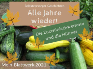 Read more about the article Alle Jahre wieder! Die Zucchinischwemme und die Hühner