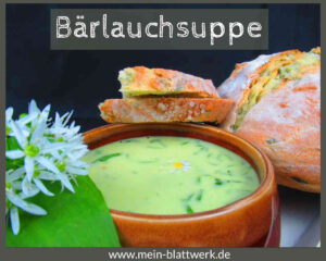Read more about the article Bärlauch-Rezepte: Bärlauchsuppe