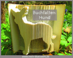 Read more about the article Basteln mit alten Büchern – Hund falten