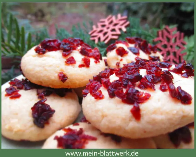 Grog-Rezept: heißer Rum für warme Füße - mein-blattwerk