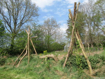 Bauen mit Naturmaterialien