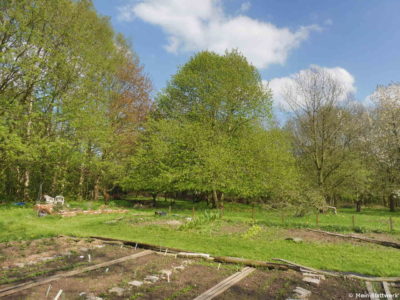 Gemüsegarten im Frühling