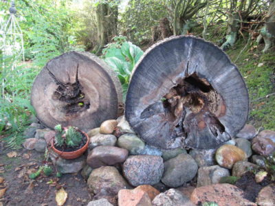 Naturnaher Vorgarten