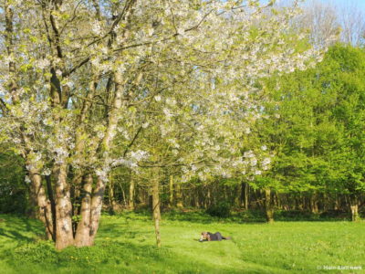 Platz zum Verweilen