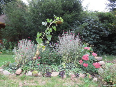 Staudenbeet im Herbst