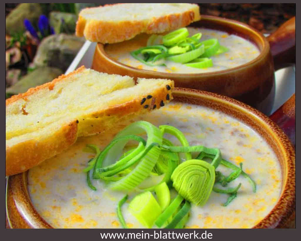 Die Käse-Lauch-Suppe oder die Porreesuppe, wie wir hier im Norden sagen ist eine schnelle Partysuppe