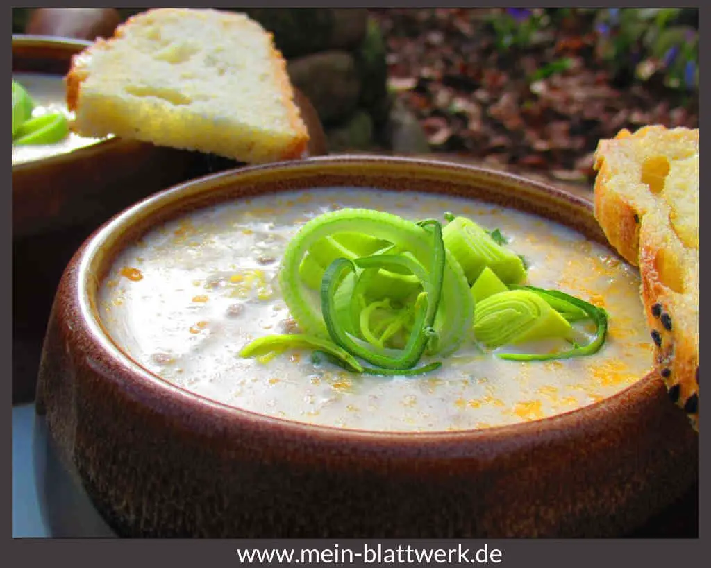 Die Käse-Lauch-Suppe oder die Porreesuppe mit Hackfleisch oder vegetarisch