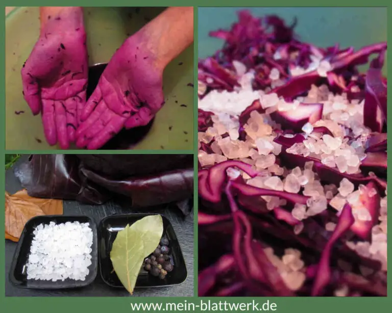 Sauerkraut aus Rotkohl selber machen – Rotkraut fermentieren - mein ...