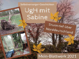 Read more about the article UgH mit „Sabine“ -Sturmtief 2019-