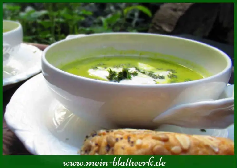 Sauerampfersuppe – vegetarisches/veganes Blitzrezept - mein-blattwerk