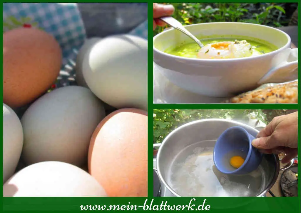 Pochiertes Ei als Einlage in der Sauerampfersuppe